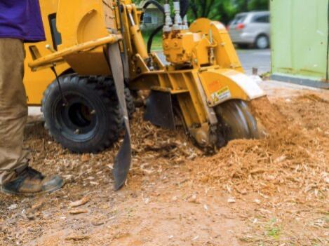 Stump grinding machine grinding down a tree stump into wood chips