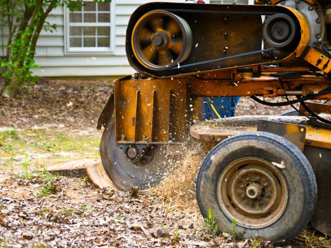 stump grinding North Andover MA